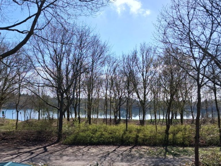 Ferienhaus-moin-Seeblick-heede-Lage-bild1 Ferienhaus-moin-Seeblick-heede-Lage-bild1