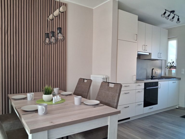 Ferienhaus-moin-seeblick-wohnkueche